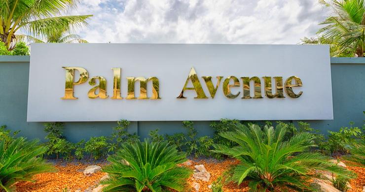PALM AVENUE 3