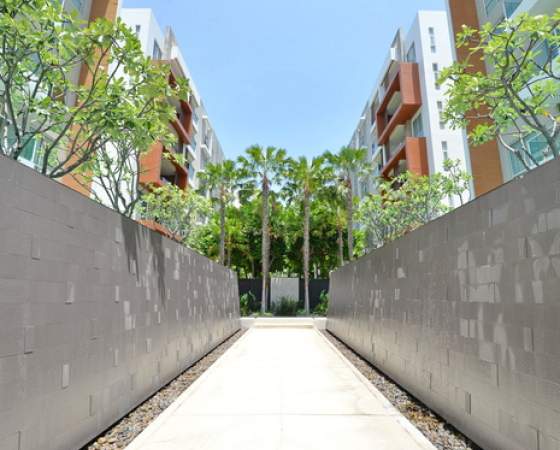 The Breeze Apartment