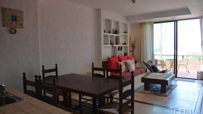 Las Tortugas Apartment