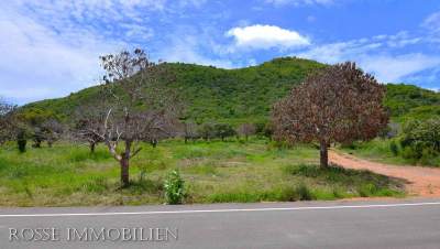 Land for sale in Pranburi
