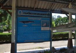 Suan Son Beach – Bild 18