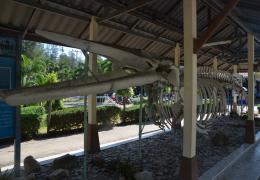 Suan Son Beach – Bild 19