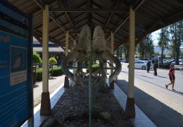 Suan Son Beach – Bild 20