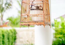 Plot 22 (+) – Bild 35