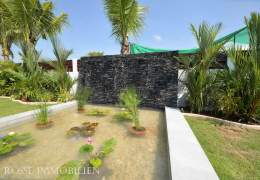 Palm Avenue 3 Plot 1 – Bild 8