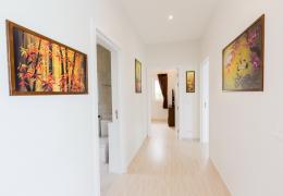 Plot 9 – Bild 16