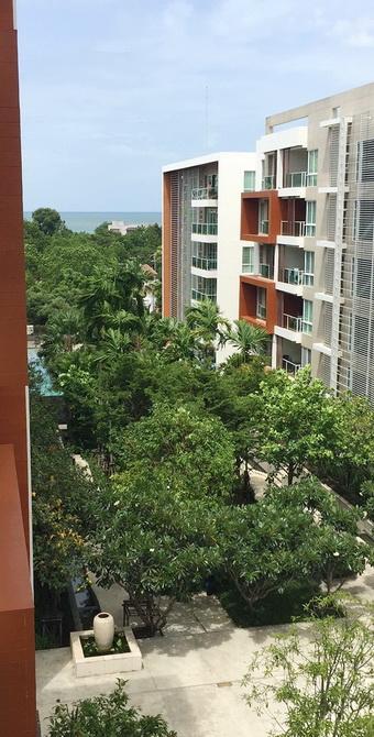 The Breeze Apartment