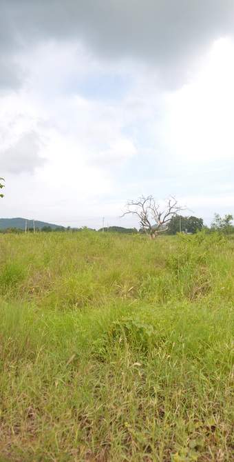 3 Rai Land in Hin Lek Fai