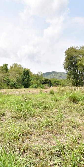 1 Rai Land am Black Mountain