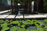 The Breeze Condominium – Bild 14