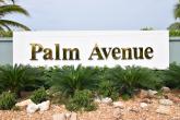 PALM AVENUE 3 – Bild 1