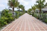 PALM AVENUE 3 – Bild 16