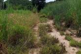 Grosse Grundstücke in Hanglage – Bild 1