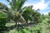 Landhaus bei Hua Hin – Bild 57