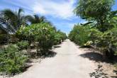 Landhaus bei Hua Hin – Bild 62