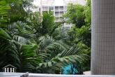 Sansaran Apartment – Bild 39