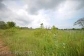 3 Rai Land in Hin Lek Fai – Bild 20