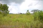 3 Rai Land in Hin Lek Fai – Bild 21