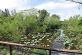 5-SZ Bungalow mit Pool – Bild 47