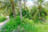 3-1-0 Rai in Pak Nam Pran – Bild 1