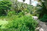 3-1-0 Rai in Pak Nam Pran – Bild 6