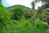 3-1-0 Rai in Pak Nam Pran – Bild 9